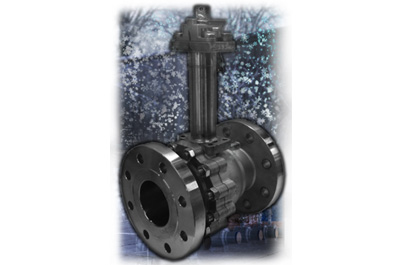 Low Temperature and Cryogenic Ball Valves