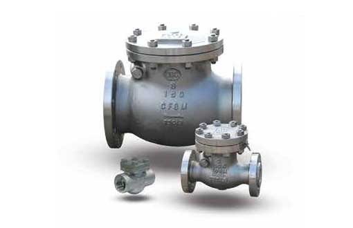 NEWCO STAINLESS STEEL CHECK VALVE